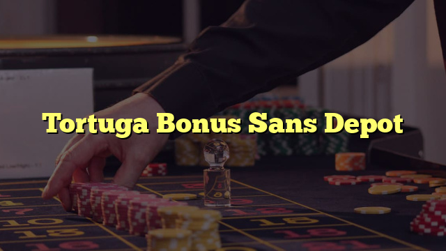 Tortuga Bonus Sans Depot